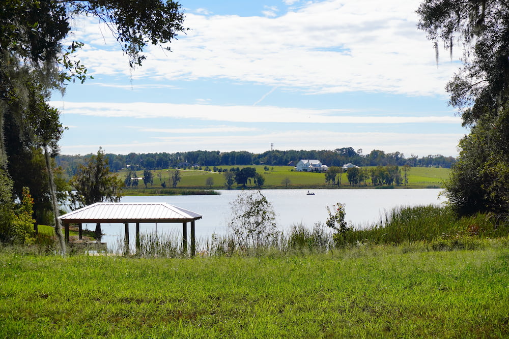 Middle lake park at Wesley Chapel, close to Tampa in Florida